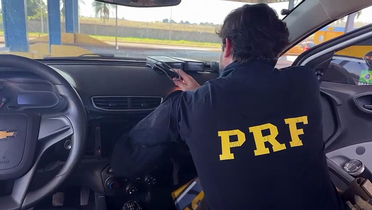 CASAL QUE TRANSPORTAVA COCAÍNA COM FILHOS NO CARRO É PRESO EM FRANCISCO ALVES